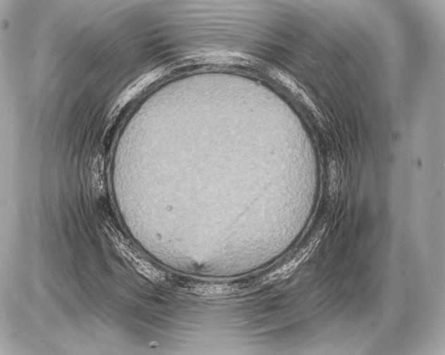 X0000085810970200704091602