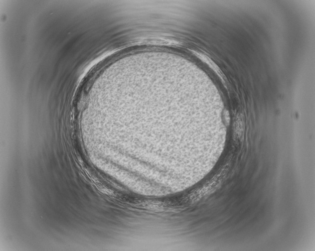 X0000085810971200704091602