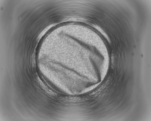 X0000085810972200704091602