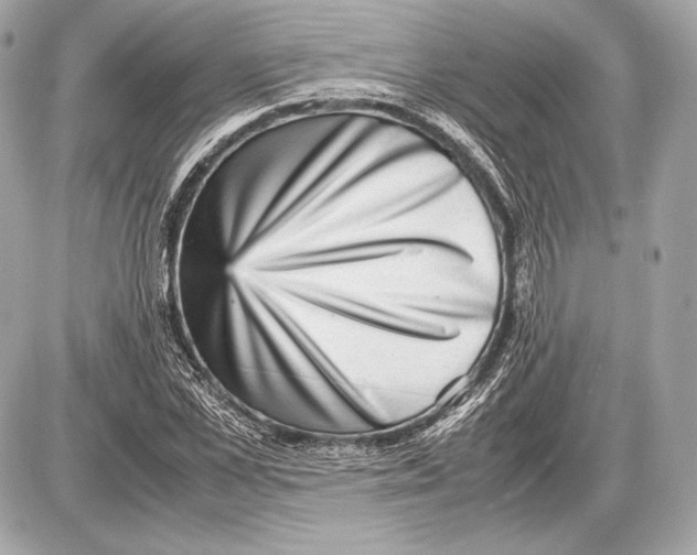 X0000085810973200704091602