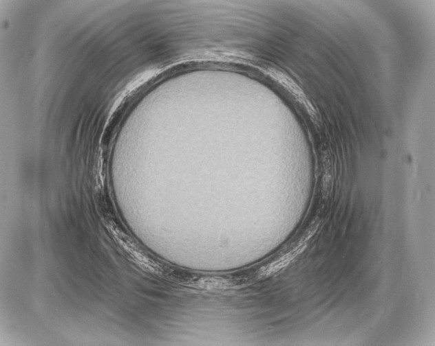 X0000085810974200704091602