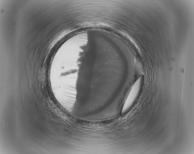 X0000085810975200704091602