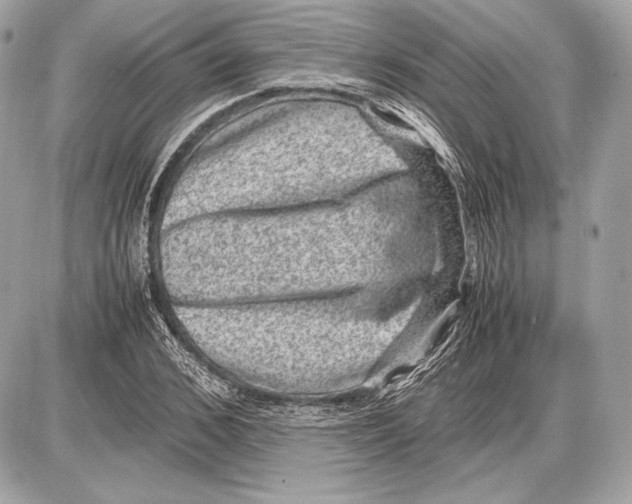 X0000085810976200704091602