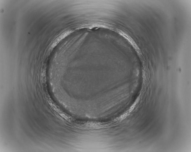 X0000085810977200704091602