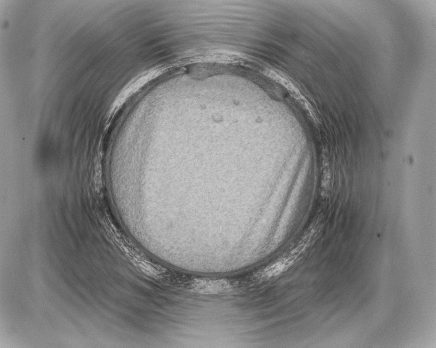 X0000085810978200704091602