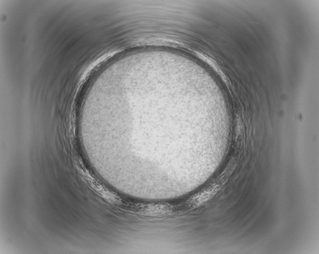 X0000085810979200704091602