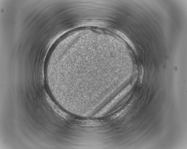 X0000085810980200704091602