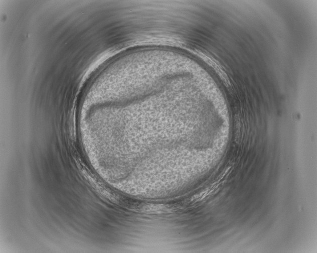 X0000085810982200704091602