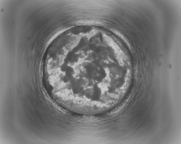 X0000085810983200704091602