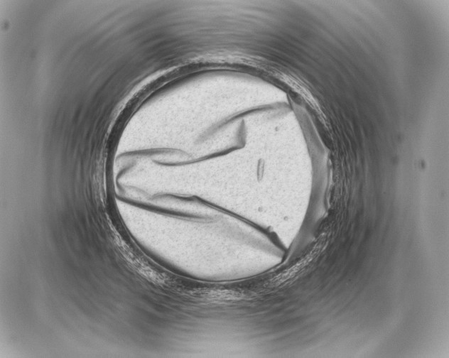 X0000085810984200704091602