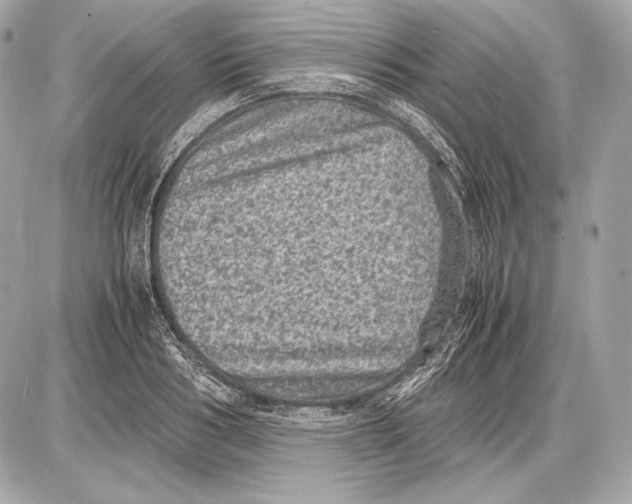 X0000085810986200704091602