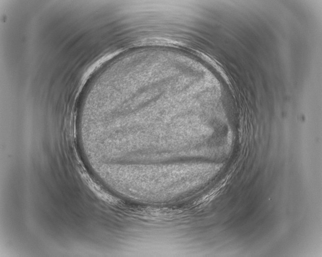 X0000085810987200704091602