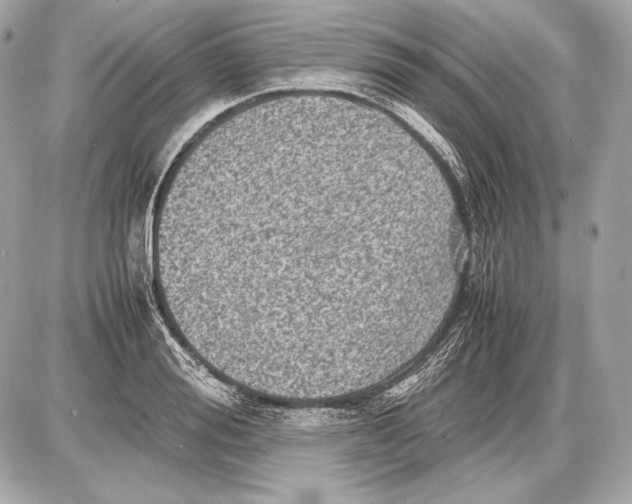 X0000085810988200704091602