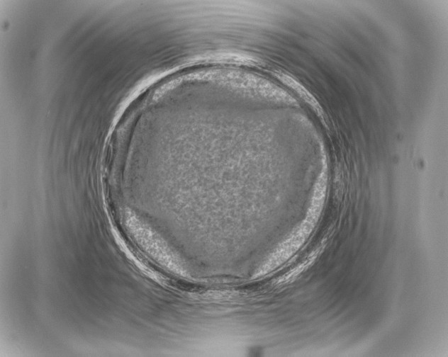 X0000085810989200704091602