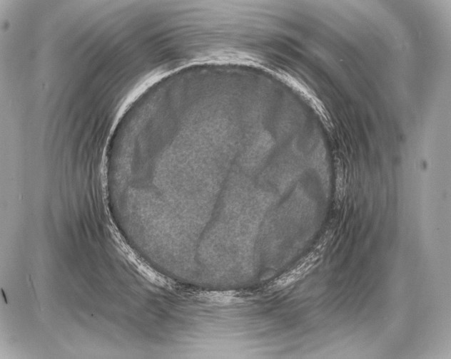 X0000085810990200704091602