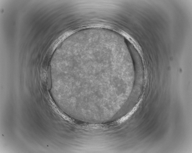 X0000085810993200704091602