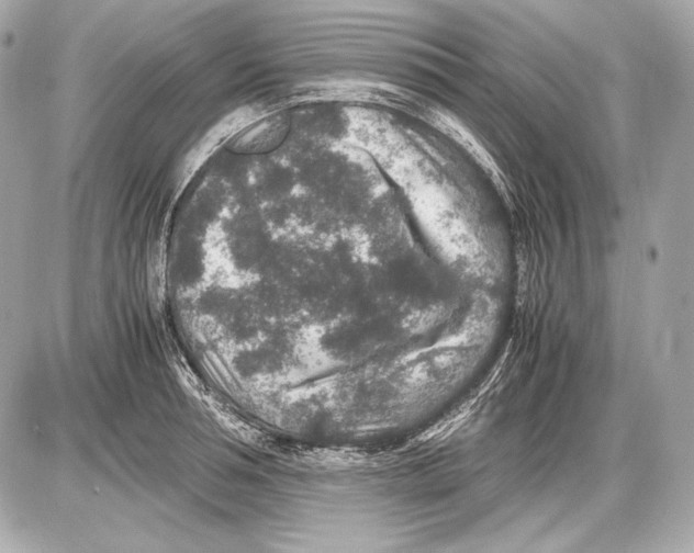 X0000085810994200704091602