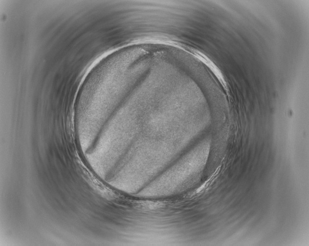 X0000085810996200704091602