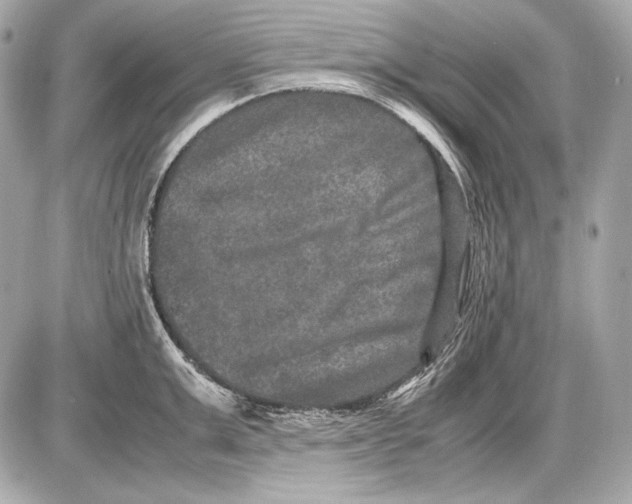 X0000085810999200704091602