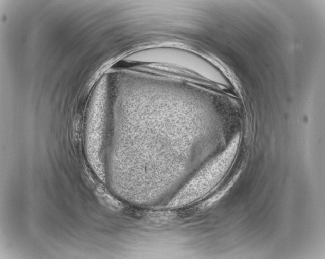 X0000085811001200704091602