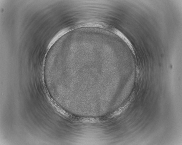 X0000085811002200704091602