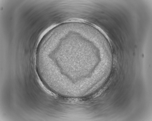 X0000085811003200704091602