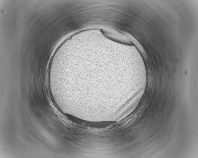 X0000085811004200704091602