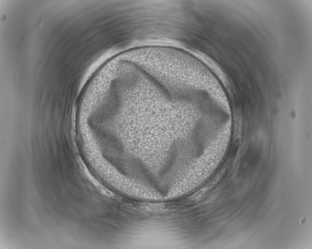 X0000085811006200704091602