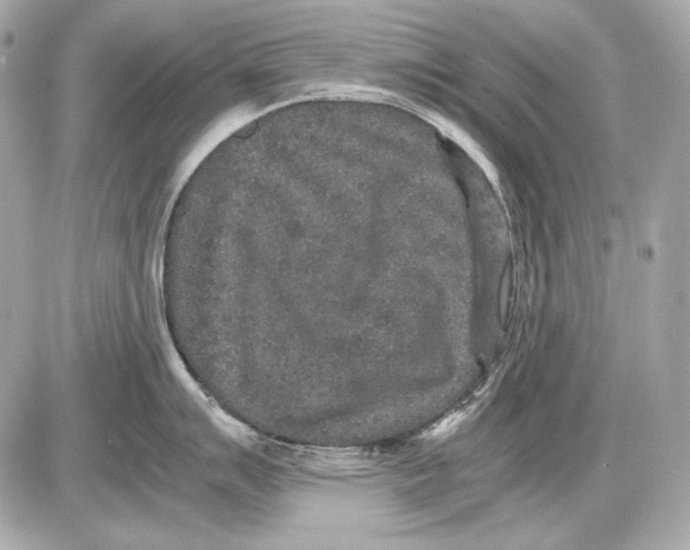 X0000085811007200704091602