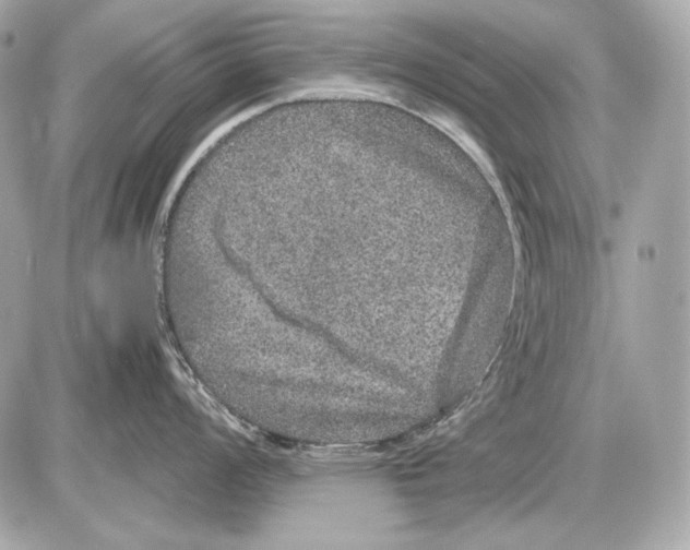 X0000085811008200704091602