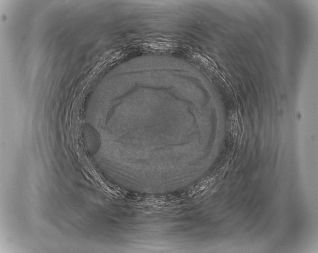 X0000085811009200704091601