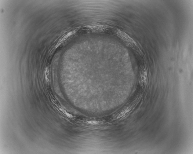 X0000085811010200704091601