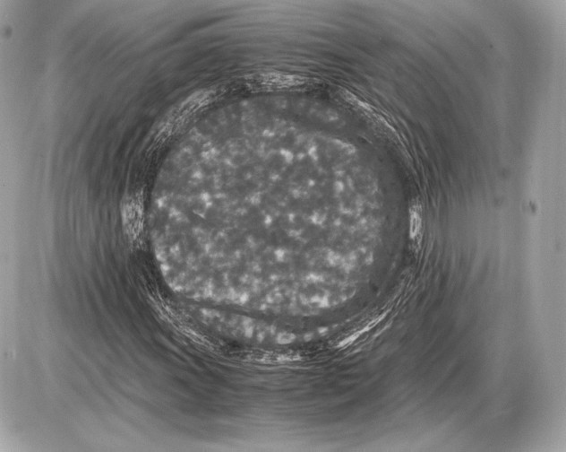 X0000085811011200704091601