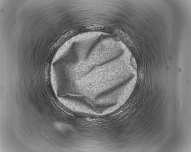 X0000085811012200704091601