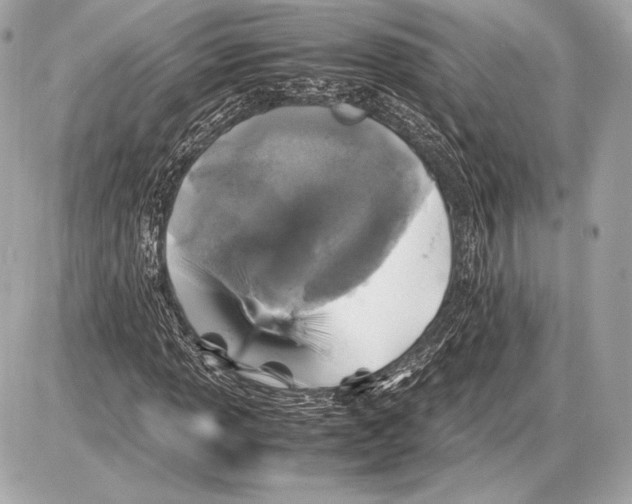 X0000085811013200704091601