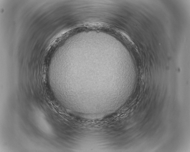 X0000085811016200704091601