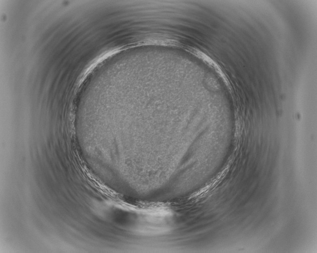 X0000085811019200704091601