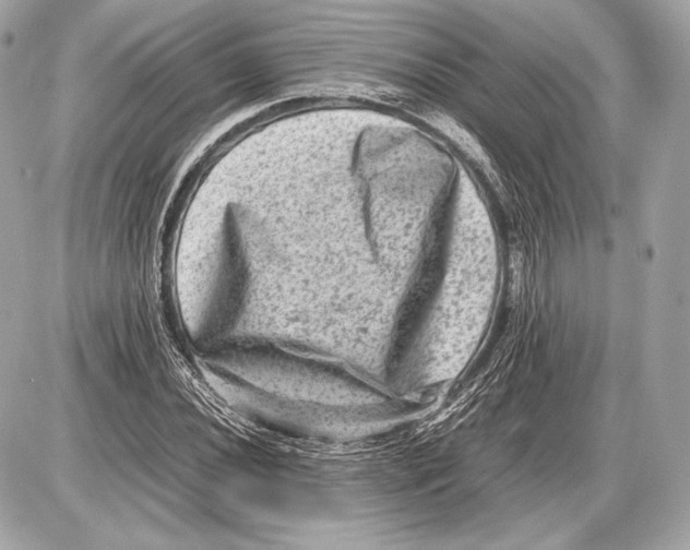 X0000085811020200704091601