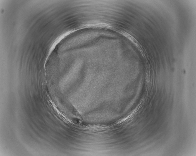 X0000085811022200704091601