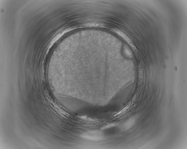 X0000085811023200704091601