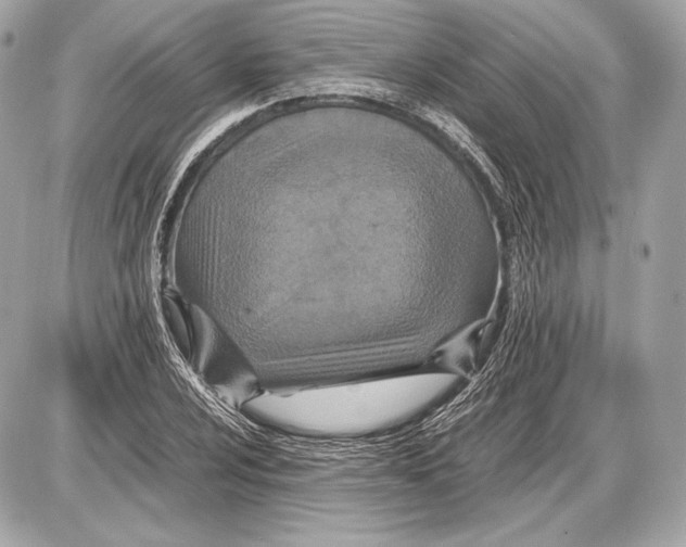 X0000085811024200704091601