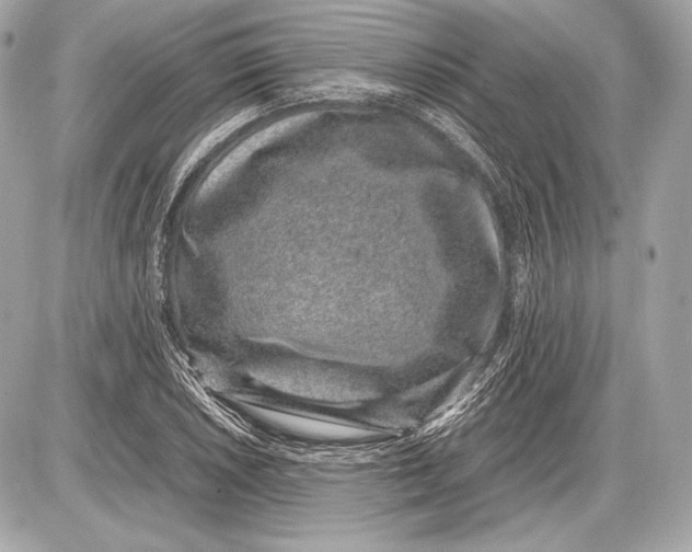 X0000085811026200704091601