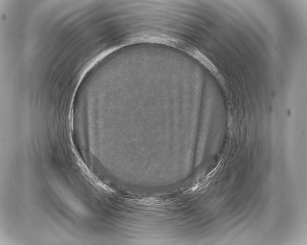 X0000085811028200704091601