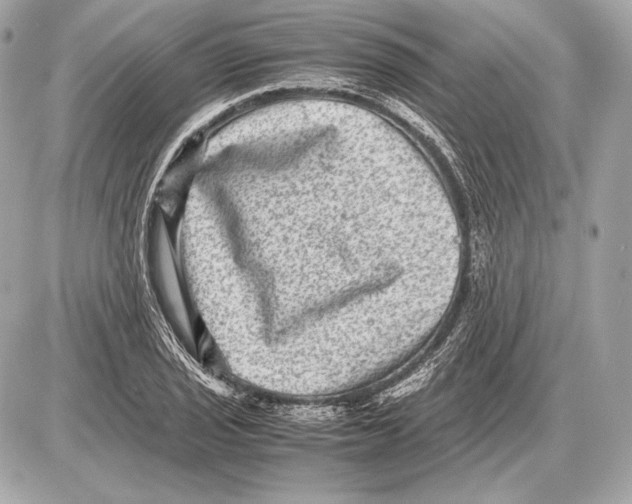 X0000085811029200704091601