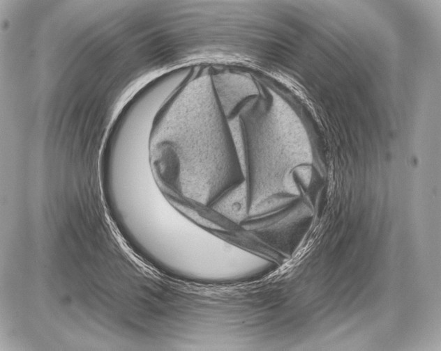 X0000085811030200704091601