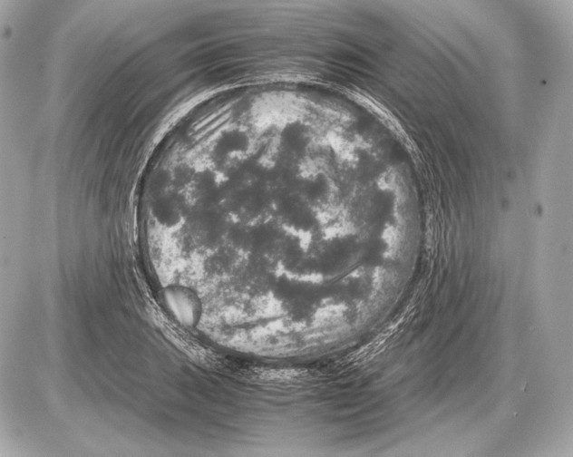 X0000085811031200704091601