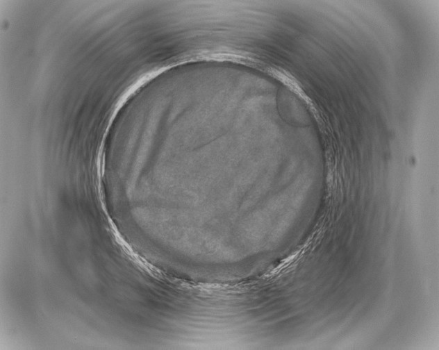 X0000085811032200704091601