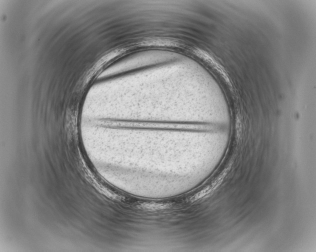 X0000085811033200704091601