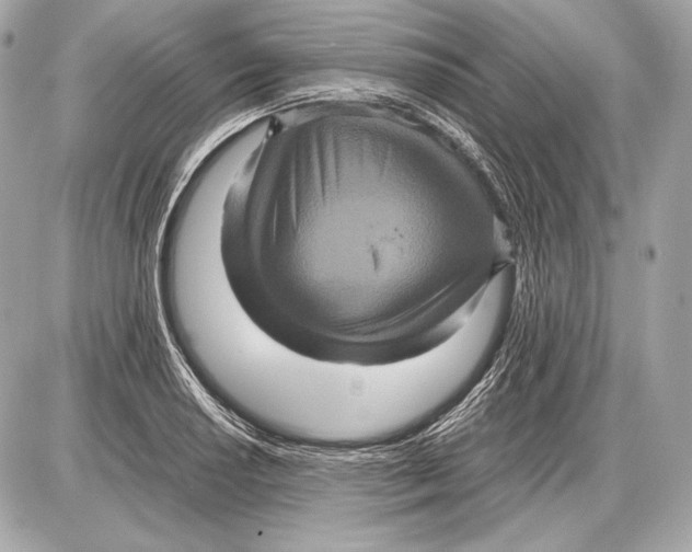 X0000085811034200704091601