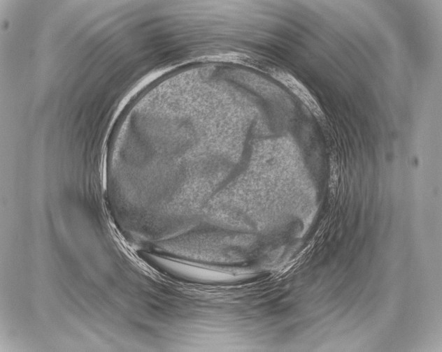 X0000085811036200704091601